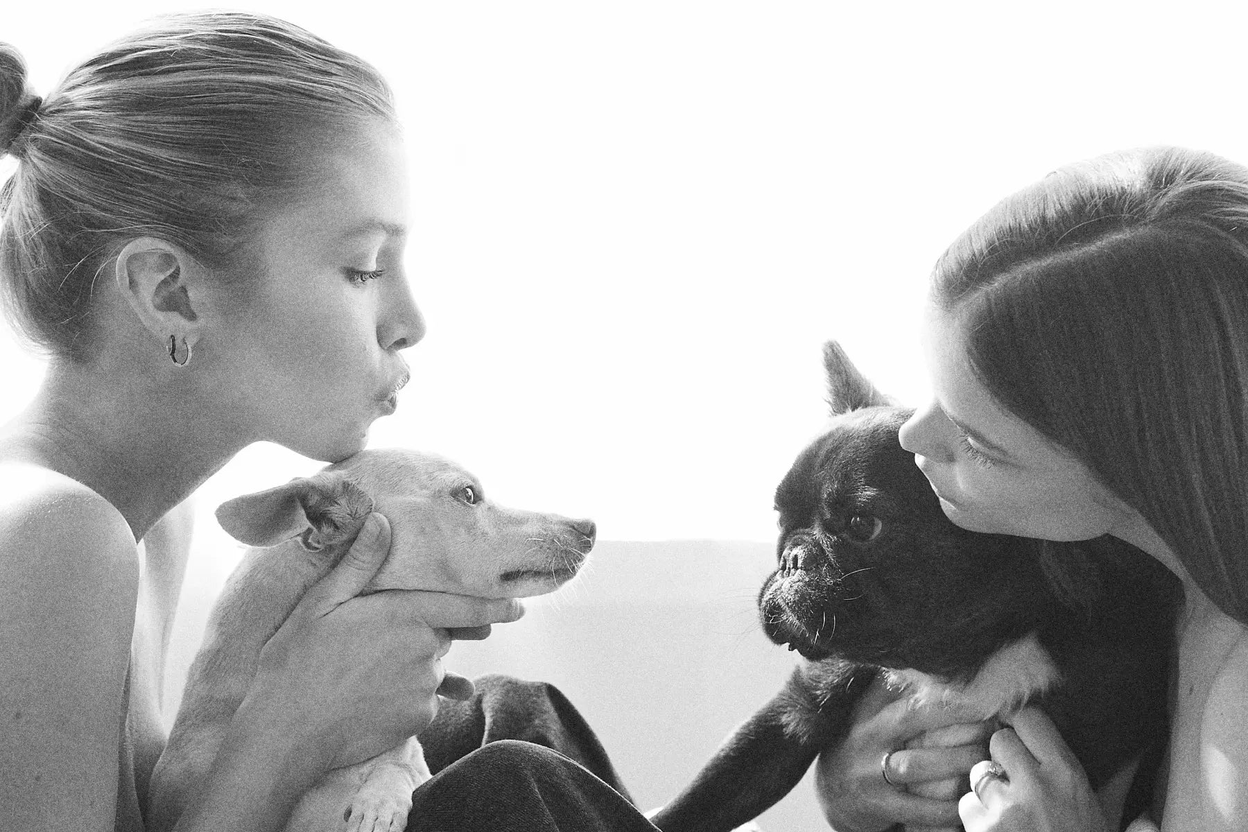 Stella Maxwell (left), holding her Chihuahua-terrier, Trip, and Barbara Palvin (right), holding her dog, Piggy