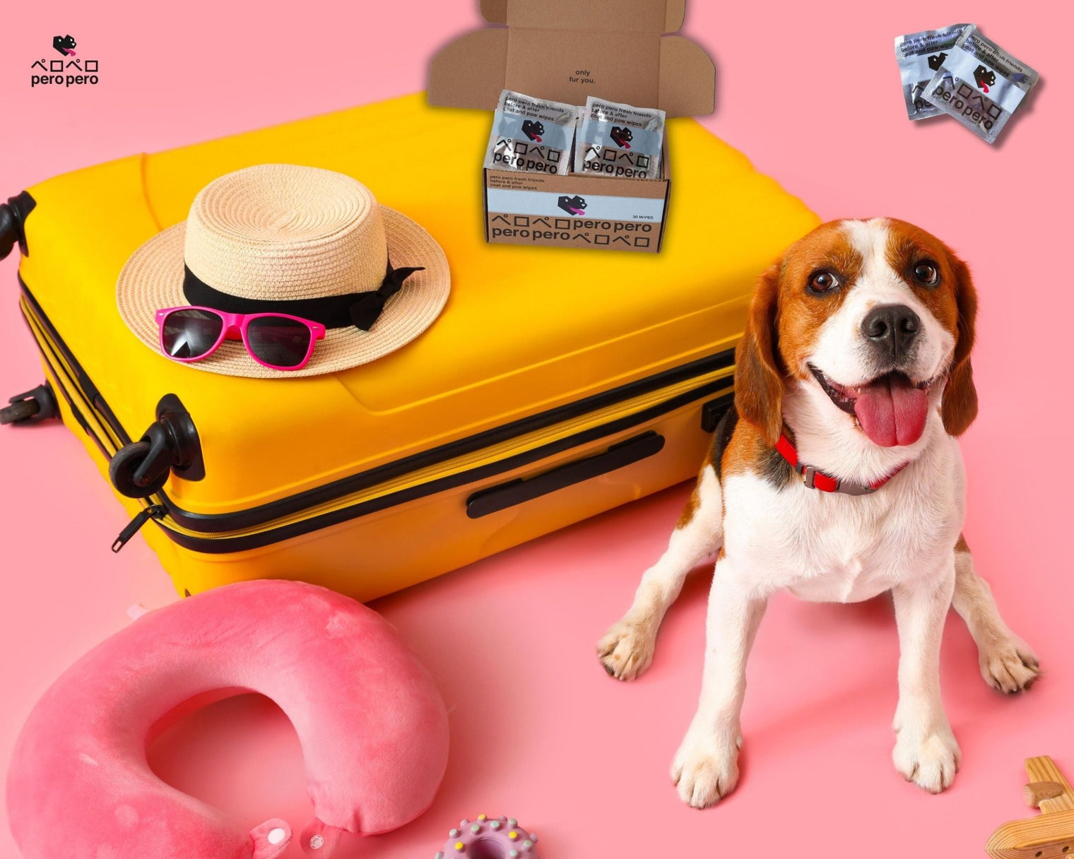 Travel-Friendly Pet Grooming Products You Need! - PeroPero